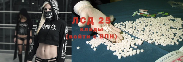 винт Богданович