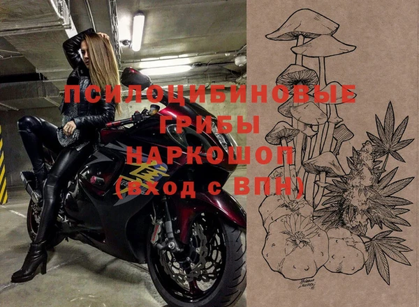винт Богданович