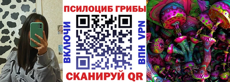 магазин    гидра   Псилоцибиновые грибы прущие грибы  Гатчина 